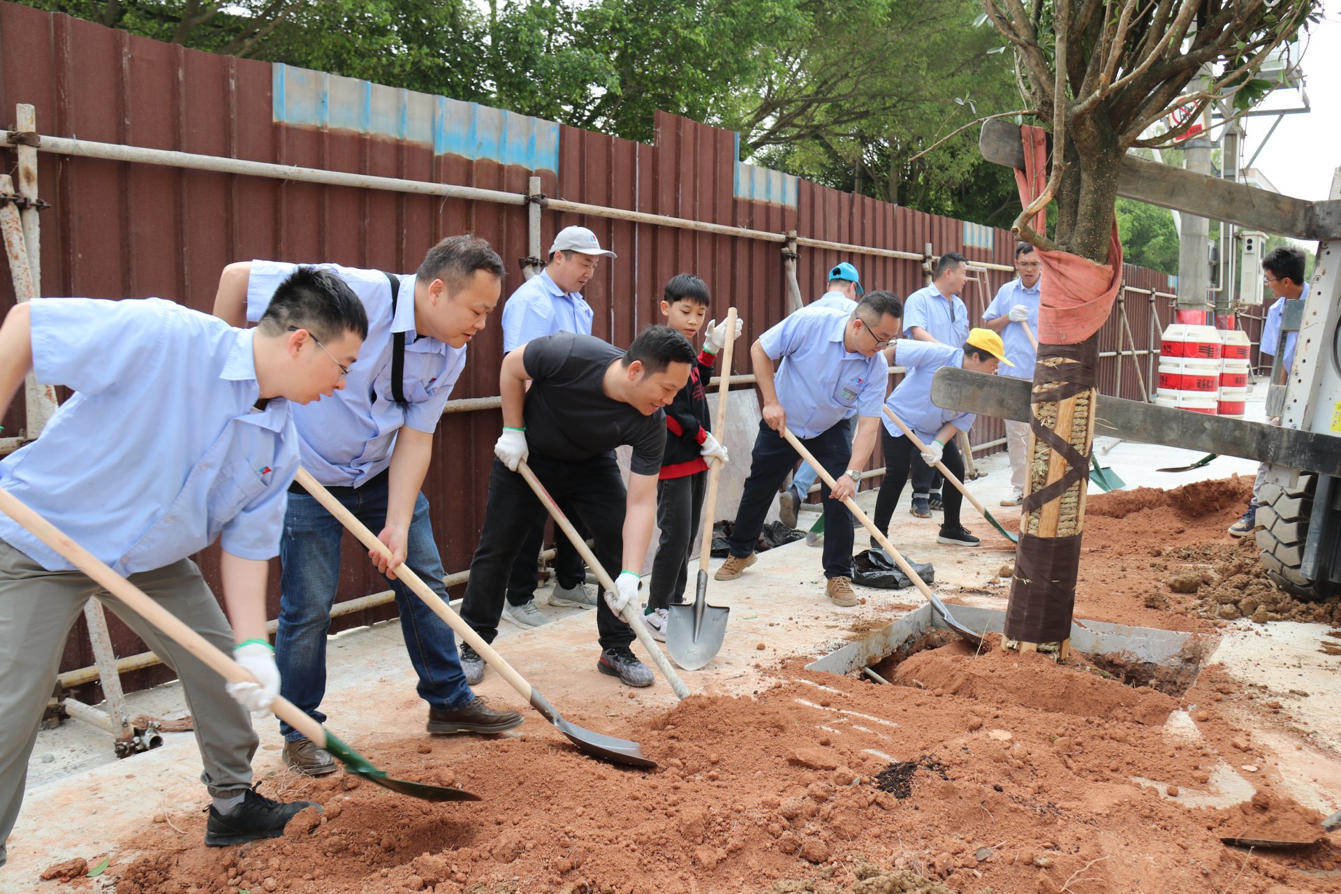 植樹節(jié)活動(dòng)